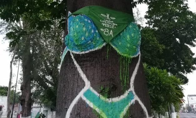 Pintan de verde al árbol del bikini