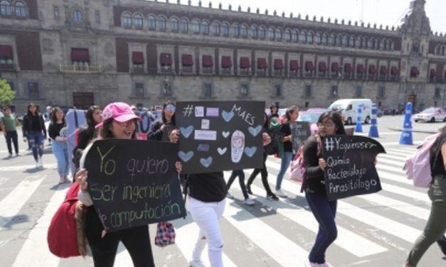 Mujeres manifestantes niegan provocación, es exigencia contra abusos