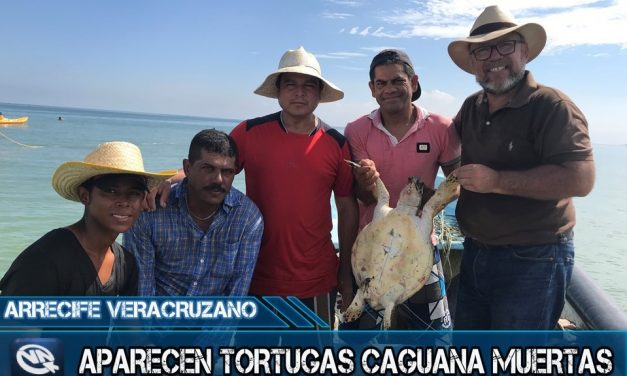 NO SOLO TORTUGAS MUESTRAS ENCONTRAMOS, TAMBIÉN OTRAS ESPECIES; PESCADORES PLAYA NORTE