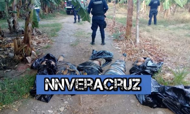 Encuentran 5 cuerpos en Vega de Alatorre