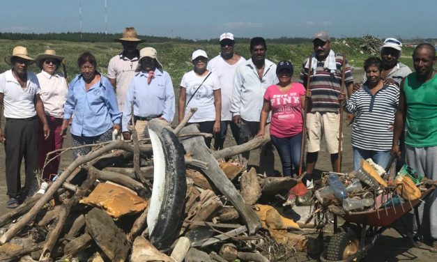 Pescadores del puerto de Veracruz reportan descargas de aguas negras directas al mar