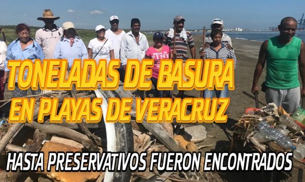 Pescadores limpian playa norte de Veracruz, recogen dos toneladas de basura