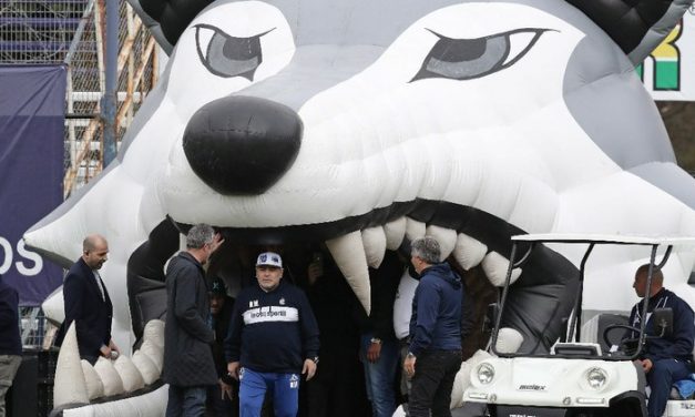 Ovacionan a Maradona como nuevo DT del Gimnasia