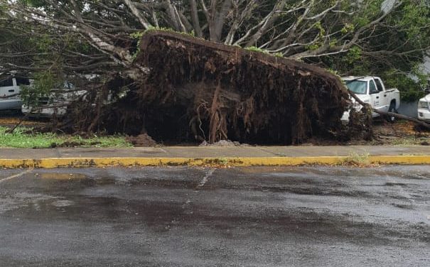 En la petrolera, Boca del Río.