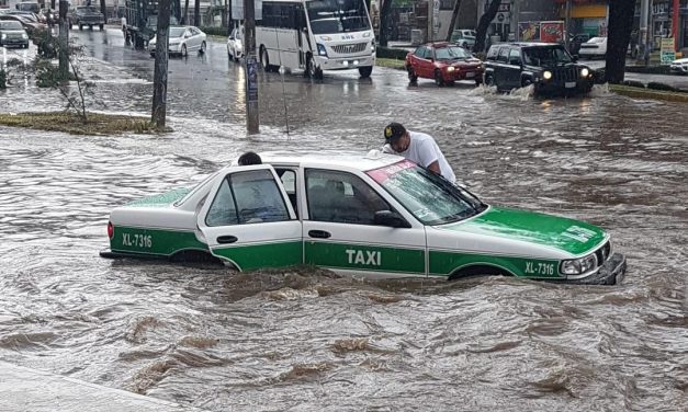 Fuerte aguacero en Xalapa genera anegaciones y árboles caídos