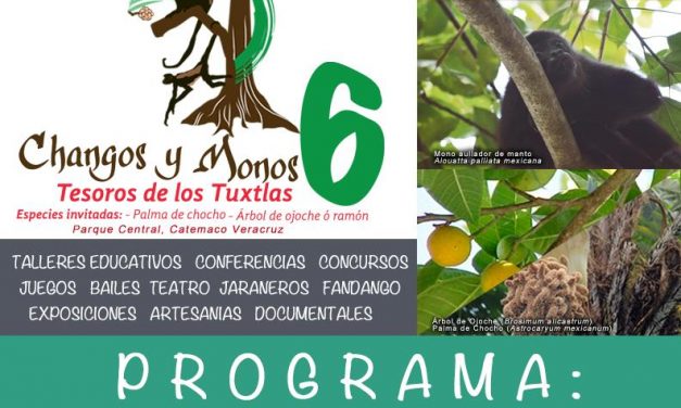 Presenta SECTUR Sexto Festival “Changos y Monos Tesoros de los Tuxtlas”