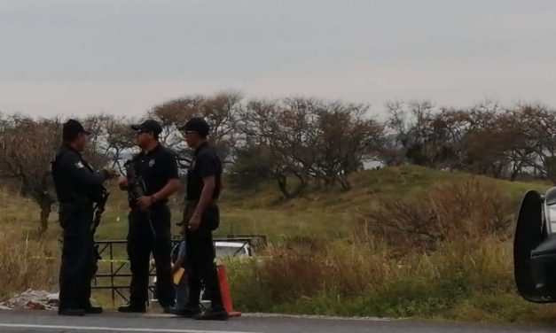 Nuevamente la búsqueda de cuerpos en fosas clandestinas de Arbolillo en Alvarado, Veracruz