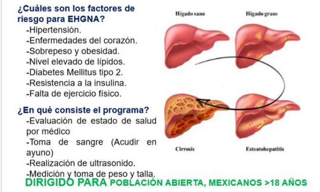 UV inicia  Programa de Detección oportuna de Hígado graso