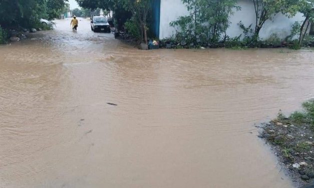 En estos momentos se encuentra desbordado el arroyo de Pedernales, Atzalan, ya que ha rebasado el nivel máximo del cauce, y está afectando a habitantes de la Col. Flores Magón y El Estudiante.