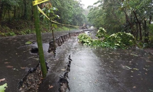 Colapsa la carretera Misantla – Díaz Mirón (VIDEO)