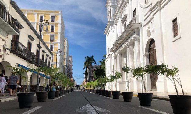 Este fin de semana fueron colocadas alrededor de 30 macetas en la avenida Independencia