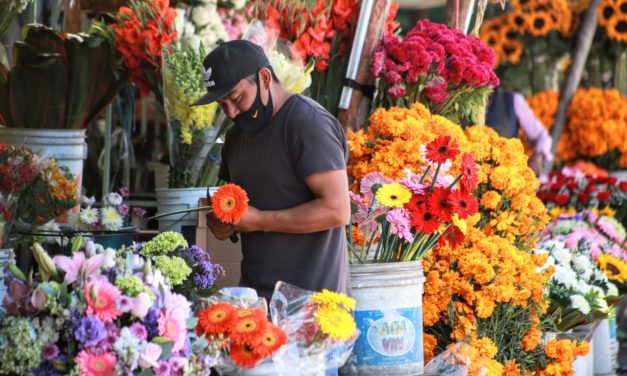 No se espera buena venta de flores en Todo Santos