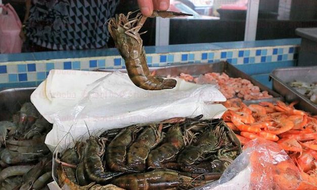 Contaminación de Río Atoyac afecta a pesca de langostino