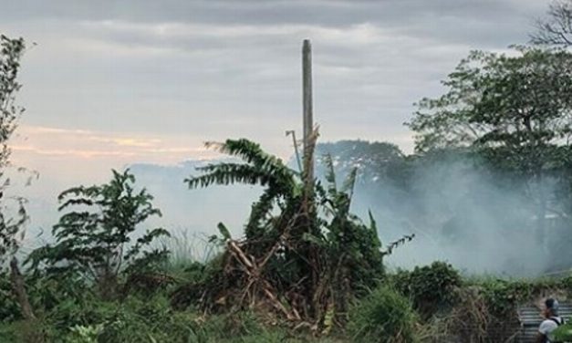 Continúan labores para sofocar incendio de pastizal en Laguna Real, en Veracruz