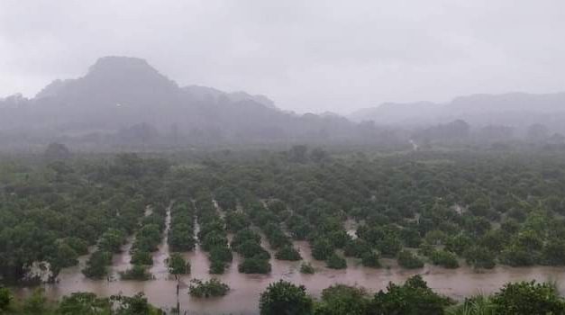 Por fuertes lluvias se desborda río Tecolutla en comunidades de Gutiérrez Zamora