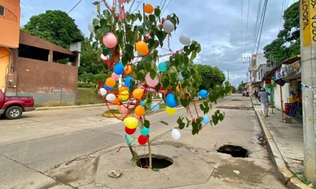 Al puro estilo jarocho, alertan de socavón con una rama navideña