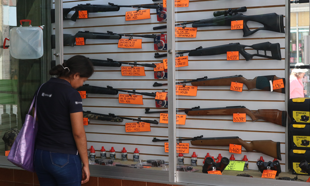 AUMENTA LA VENTA DE ARMAS DEPORTIVAS