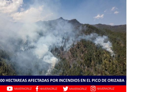 400 HECTAREAS AFECTADAS POR INCENDIOS EN EL PICO DE ORIZABA