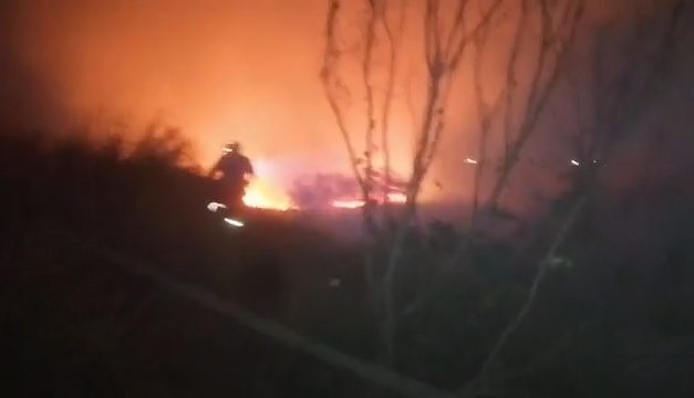 INCENDIO DE PASTIZALES CERCA DE LAS CASAS DE PUENTE MORENO