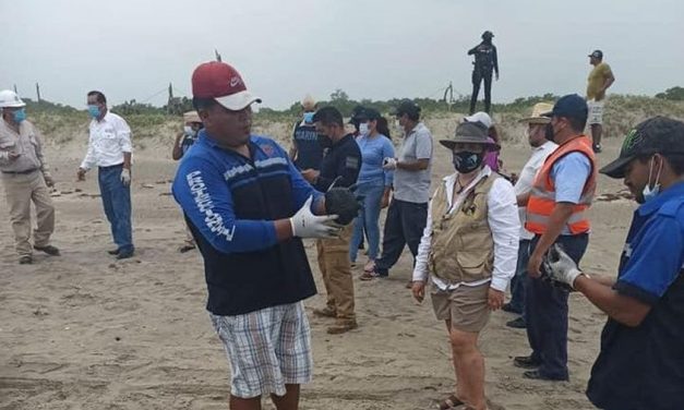 Limpian manchas de chapopote en playa de Tecolutla, Veracruz