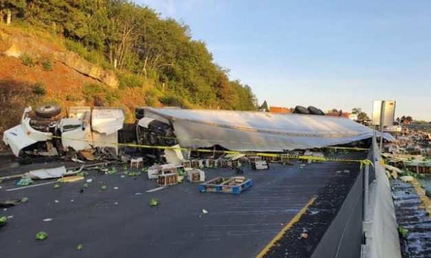 Volcadura de un tráiler sobre la carretera Xalapa- Perote; primeros reportes indican que el conductor no habría sobrevivido al accidente.