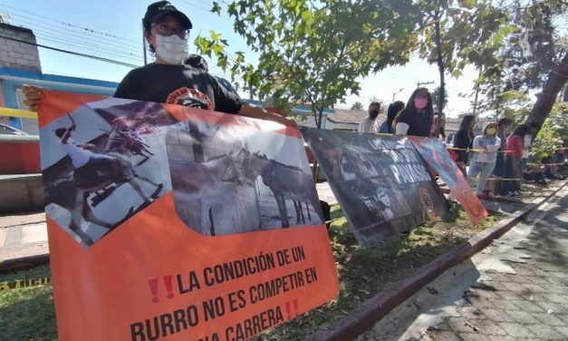 Animalistas protestan contra carrera de burros en Orizaba