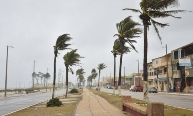 Aviso Especial por Norte de 70 km/h y sistema de alta presión con masa de aire frío que afecta a Veracruz