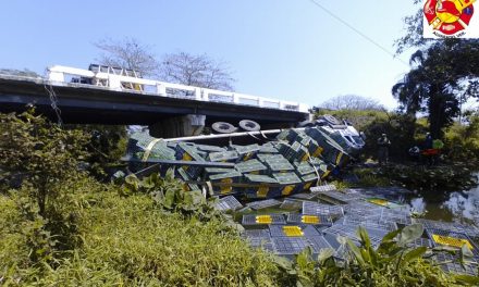 CAE CAMION DE PUENTE EN PASO DEL TORO