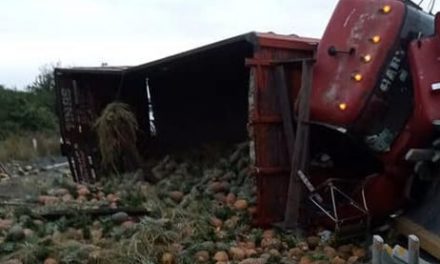 VUELCA TRAILER CARGADO DE PIÑA EN AUTOPISTA TINAJAS-ISLA