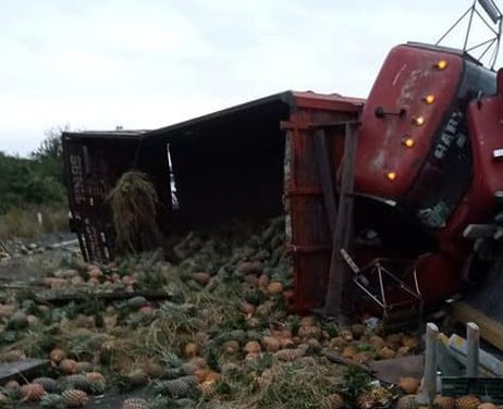 VUELCA TRAILER CARGADO DE PIÑA EN AUTOPISTA TINAJAS-ISLA