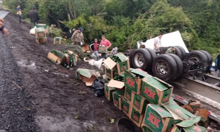 VUELCA TRAILER CARGADO DE CERVEZA