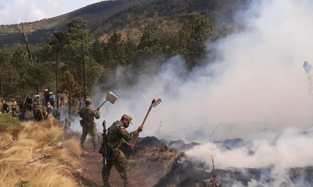 Sofocan incendio de pastizal en La Perla, Veracruz