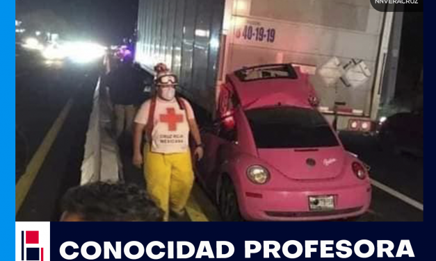 PROFESORA PIERDE LA VIDA EN ACCIDENTE