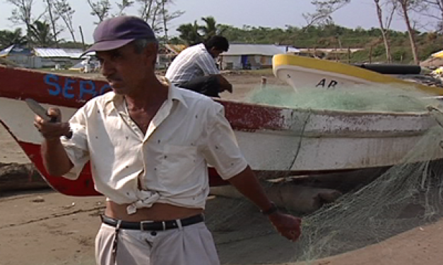 Pescadores de los más afectados por frentes fríos