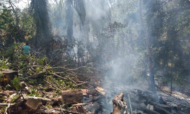 INCENDIOS FORESTALES EN LA REGION DE SONOCUSCO