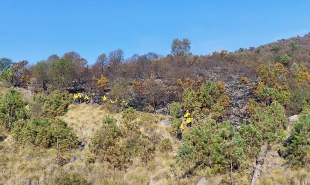 INCENDIO FORESTAL EN IXHUACAN DE LOS REYES