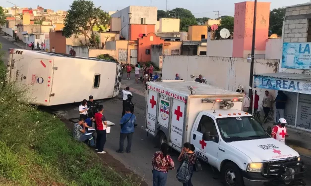 VUELCA CAMION DE PASAJE DE LA RUTA PALMA REAL