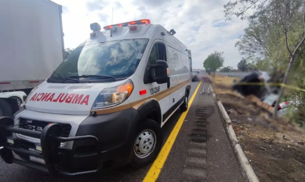 Al menos 13 muertos deja choque de transporte público contra un árbol