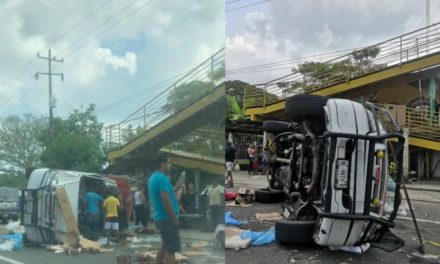 VUELCA CAMIONETA CON PESCADOS Y MARISCOS