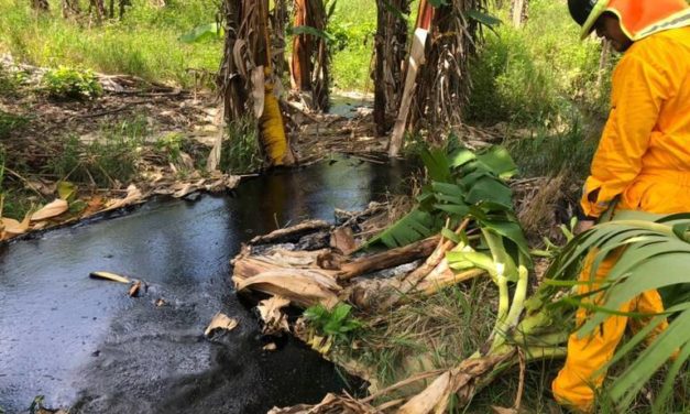 FUGA DE HIDROCARBURO AFECTÓ ARROYOS Y CYLTUVOS AGRÍCOLAS EN PAPANTLA