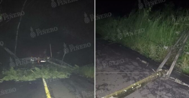 Cae árbol y poste de CFE de alta tensión en carretera Tuxtepec – Oaxaca; no hay paso