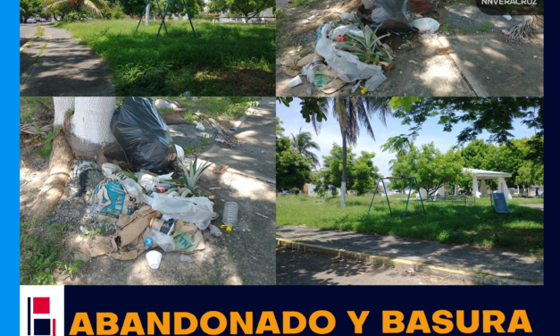 ABANDONADO Y CON BASURA EL PARQUE DEL FRACCIONMAINETO JARDINES DE VIRGINIA