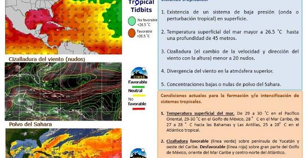 Polvo del Sahara está a punto de entrar a Veracruz; esto debes saber