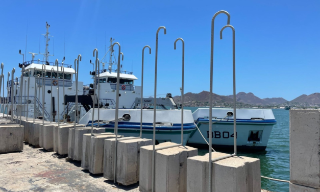 Implementa Semar acciones para salvaguardar a vaquita marina en BC