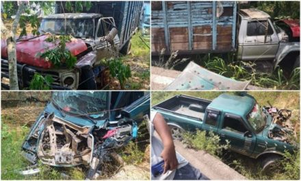 Fuerte accidente vehícular deja una persona lesionada en carretera de Ciudad Isla, Veracruz