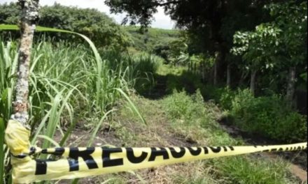 Encuentran cadáver putrefacto cerca de las fosas clandestinas de Ixtaczoquitlán, Veracruz