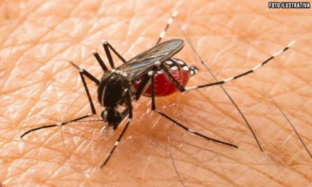 Suman 21 casos de dengue hemorrágico y 1 persona fallecida en Loma Bonita