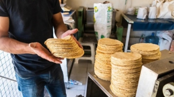 Maseca ‘empuja’ a tortillerías a subir precio; tortilla se vende en $20.80 por kilo: Profeco