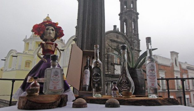 Zapotitlán, Tehuacán y Caltepec invitan a conocer la Ruta del Mezcal