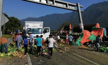 Se accidenta camión cargado de frutas y verduras en autopista de Veracruz; roban toda la carga